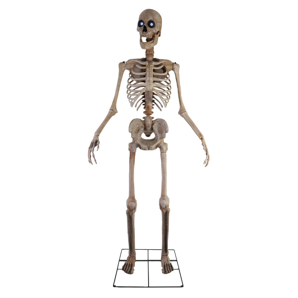 The Towering Skeleton