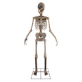 The Towering Skeleton