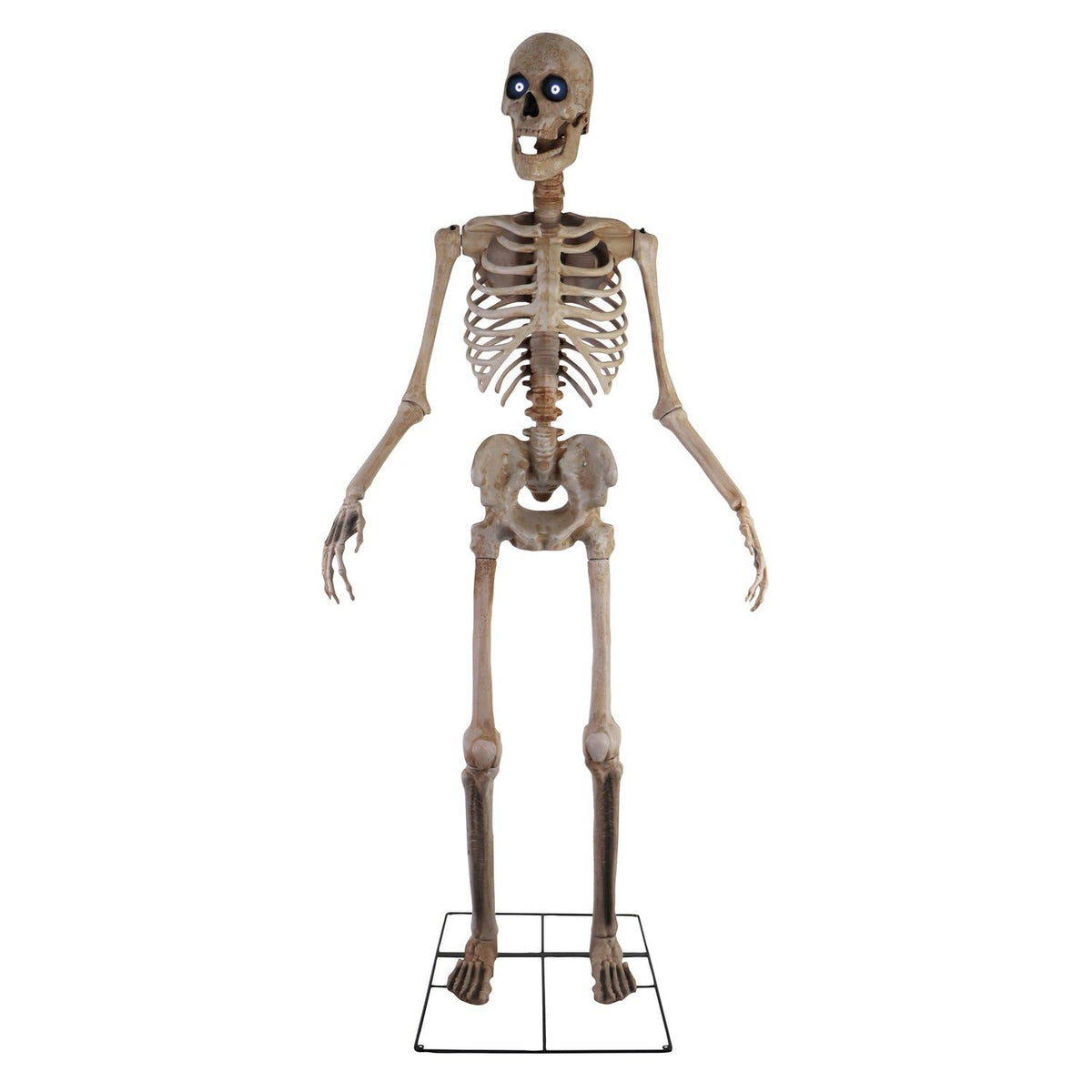 The Towering Skeleton