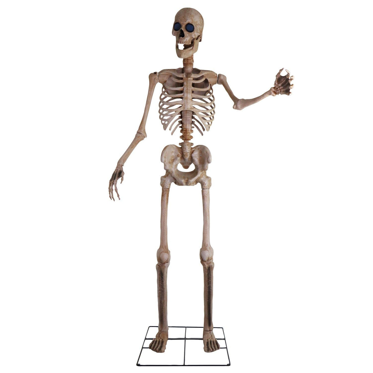 The Towering Skeleton