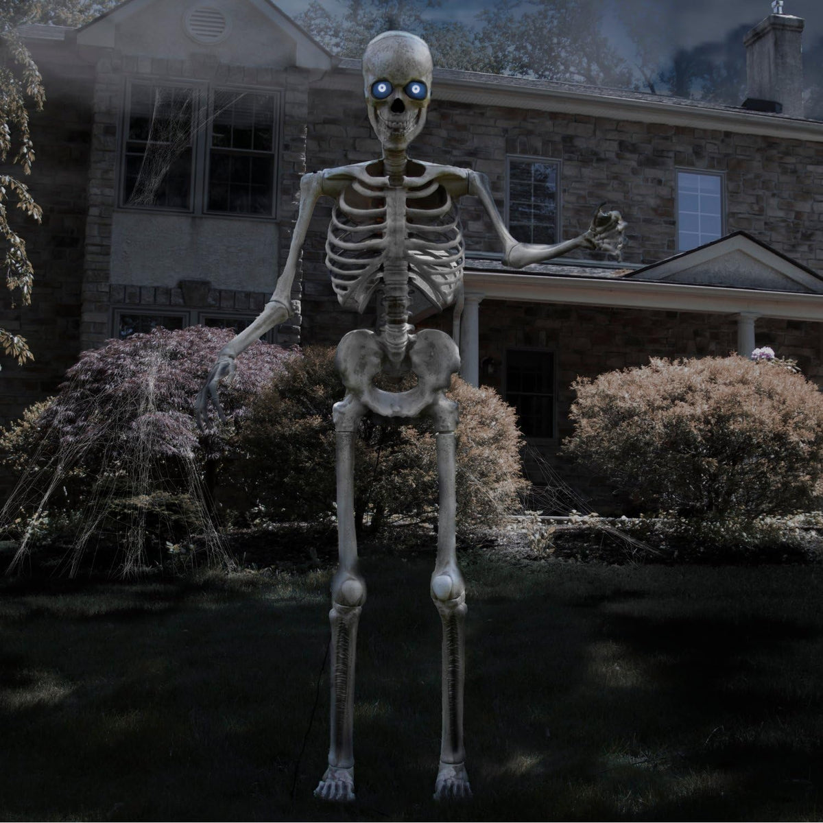 The Towering Skeleton